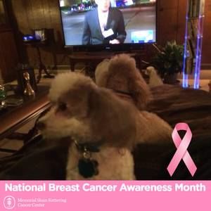 Meet your Posher, Vincent